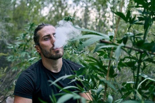 Descubre los mejores papieros elektroniczny y cigarrillos electronicos Ferrol para una experiencia única y saludable